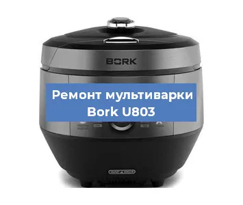 Замена крышки на мультиварке Bork U803 в Челябинске